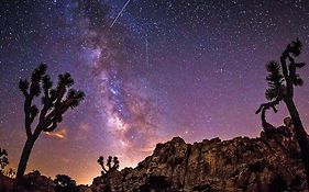 The Desert Nomad Retreat In Joshua Tree Village